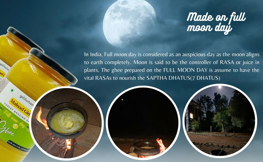 what is desi malnad gidda full moon day