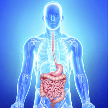 organic chyawanprash